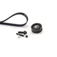 Distributieriemset PowerGrip™ K015560XS