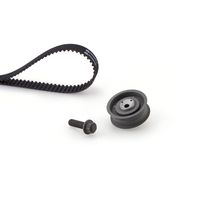 Distributieriemset PowerGrip™ K015176