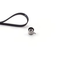 Distributieriemset PowerGrip™ K015485XS