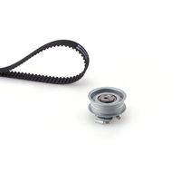 Distributieriemset PowerGrip™ K015489XS