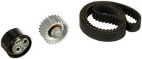 Distributieriemset PowerGrip™ K015592XS