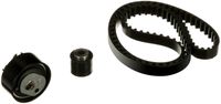 Distributieriemset PowerGrip™ K025049XS