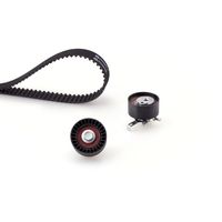 Distributieriemset PowerGrip™ K025601XS