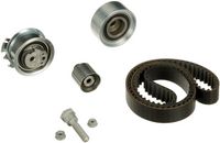 Distributieriemset PowerGrip™ K025607XS