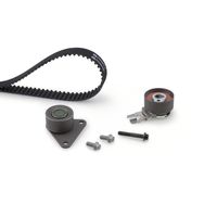 Distributieriemset PowerGrip™ K045509XS