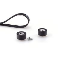 Distributieriemset PowerGrip™ K025590XS