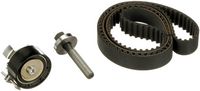 Distributieriemset PowerGrip™ K025669XS