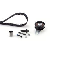 Distributieriemset PowerGrip™ K035550XS