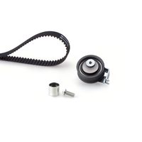 Distributieriemset PowerGrip™ K075491XS