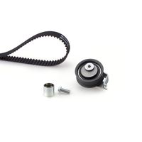 Distributieriemset PowerGrip™ K065491XS