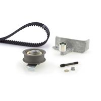 Distributieriemset PowerGrip™ K085491XS